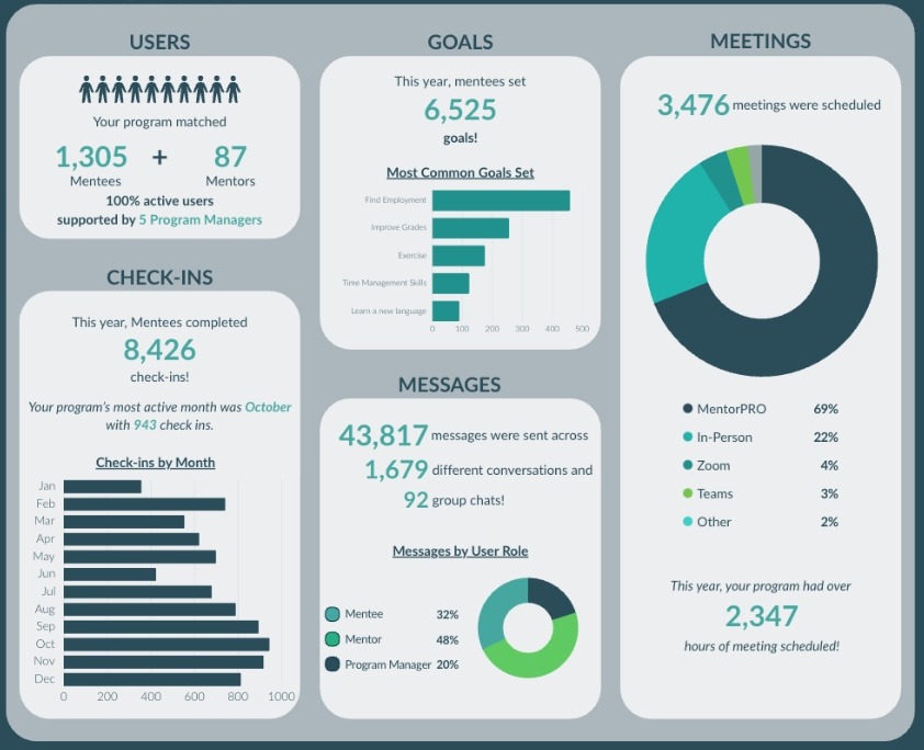 A MentorPRO annual report showing users, check-ins, goals, messages, and meetings for one program